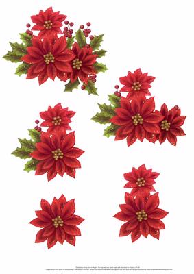 Sparkling Poinsetta 3D
