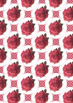 Deep Pink Rose Vellum