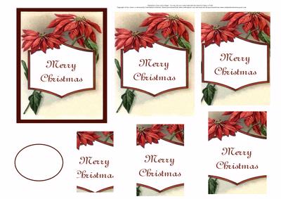 Merry Christmas Poinsettia