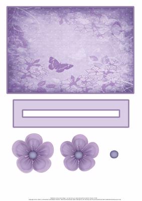 Purple Flower and Butterfly