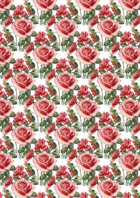 Roses on Fence Vellum
