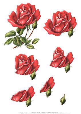 Single Red Rose 3D
