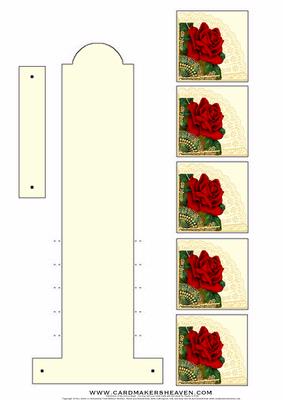 Red Rose and Lace Fan