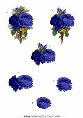 Blue Roses