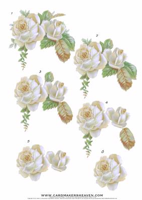 White Vintage Roses