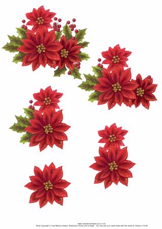 Sparkling Christmas Poinsettia