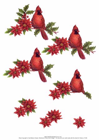 Cardinal And Poinsettia