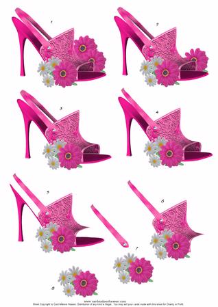 Pink Shoe And Flowers