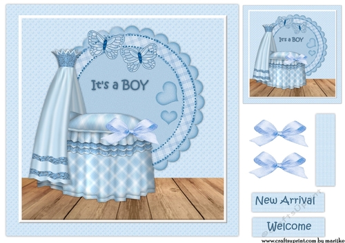 Baby Boy