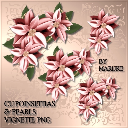 CU  Corner  Vignette Pink Poinsettias & Pearls 
