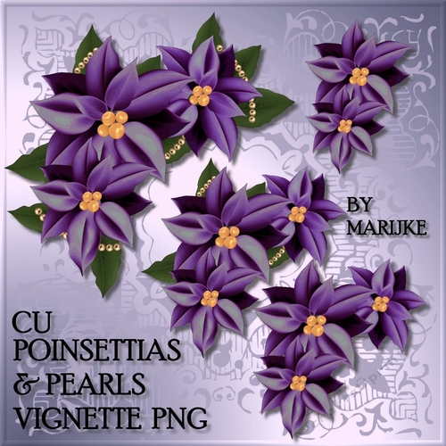 CU  Corner  Vignette  Purple  Poinsettias & Pearls