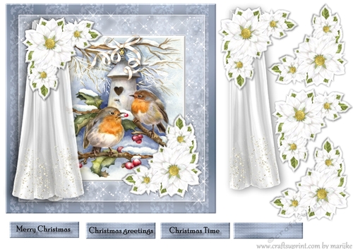 Christmas Window Robins In The Snow