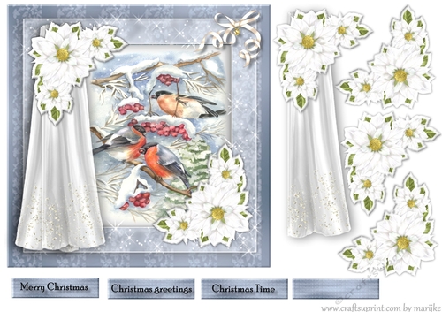Christmas Window  Snow Birds 