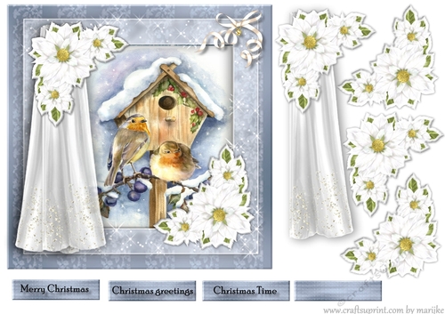 Christmas Window  Snowy Birdhouse 