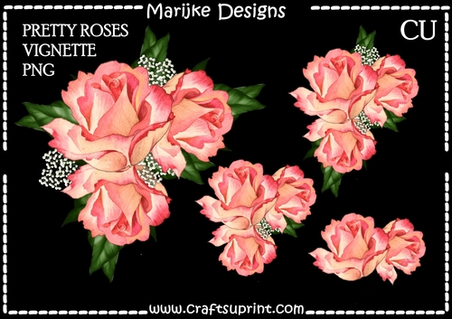 CU  Corner  Vignette Pretty Roses Coral