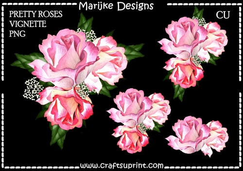CU  Corner  Vignette Pretty  Mixed Roses