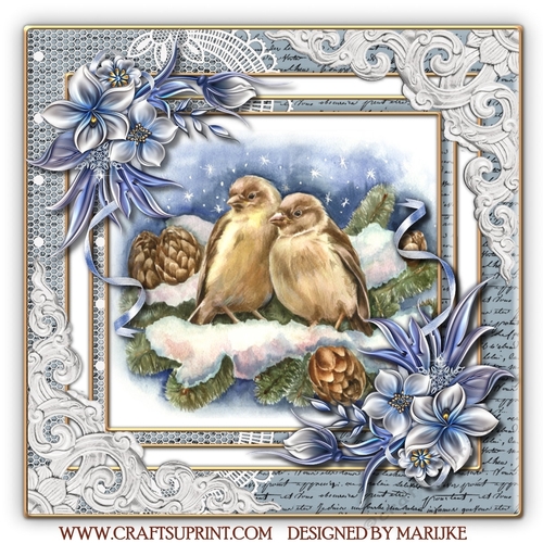  Christmas  Birds Mini Kit