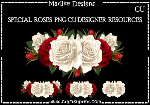  CU Vignette Special Roses