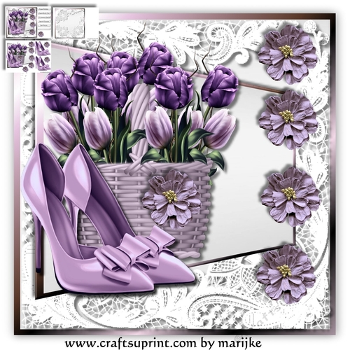 Lilac Shoes  Mini Kit