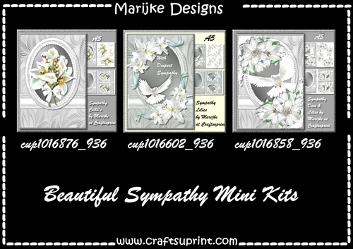 Bumperkit with 3 Sympathy A5 Mini Kits