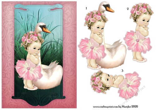 A5   Little Swan  Princess
