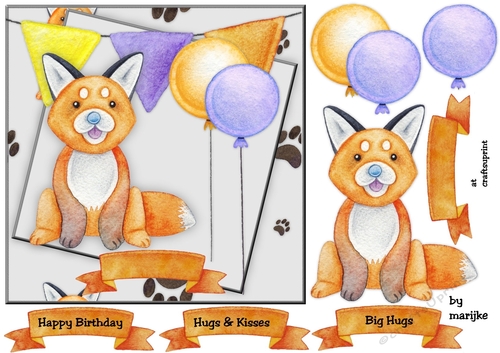 Cute Fox Birthday Boy