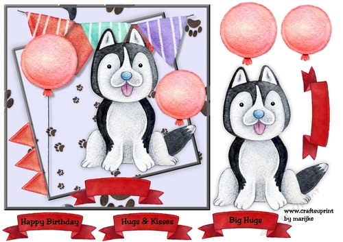 Cute Husky Birthday Boy