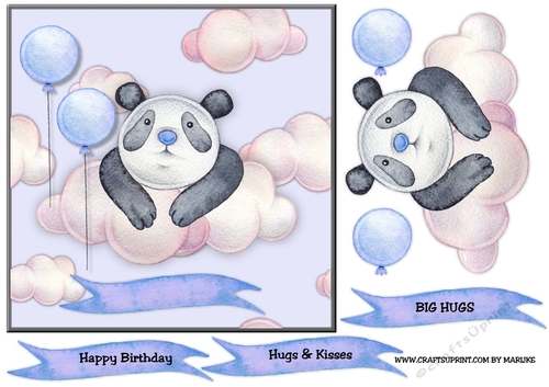 Cute  Panda  Birthday Boy