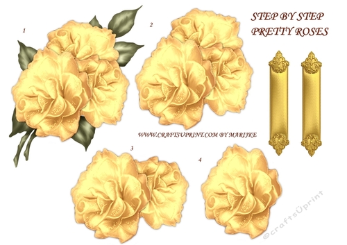Step By Step Pretty Roses 5