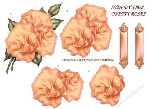 Step By Step Pretty Roses 6