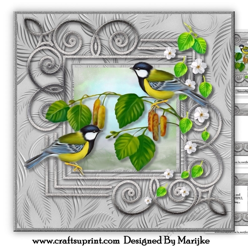 Male Card Birds Mini Kit