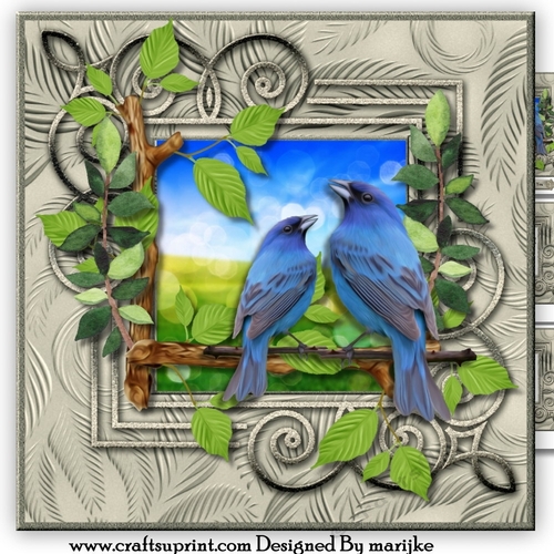 Male Card Wild Birds Mini Kit