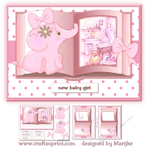 Baby Girl Book Mini Kit