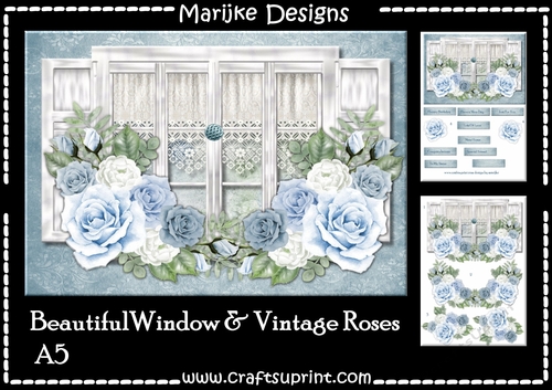 Beautiful Window & Vintage Roses  A5 Card
