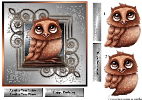 Male Card   Wise owl
