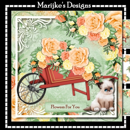 Wheel barrow Beautiful Roses