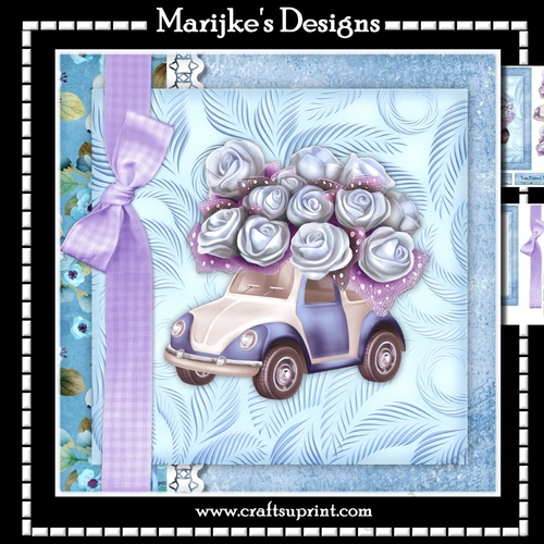 Driver License Girl  Mini Kit IN Blue 