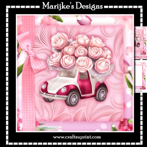 Driver License Girl In Pink  Mini Kit