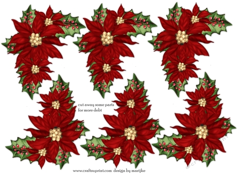 Step By Step Poinsettias in Red 