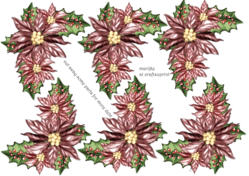 Step By Step Poinsettias in Vintage Pink