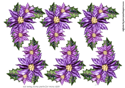 Step By Step Poinsettias in Purple