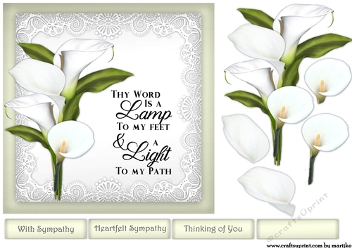 Sympathy Callas  Verse   Thy Word...