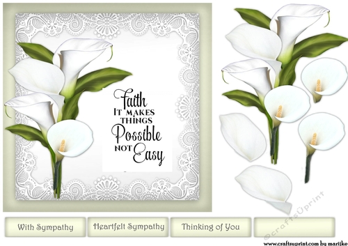 Sympathy Callas  Verse Faith 2