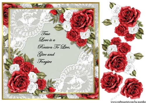 Quick Card True Love Red Roses