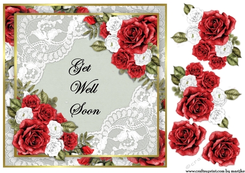 Quick Card  Get Well Soon Red Roses