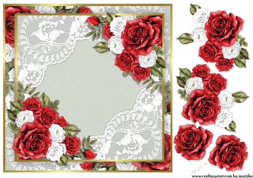 Quick Card   Red Roses  No Text