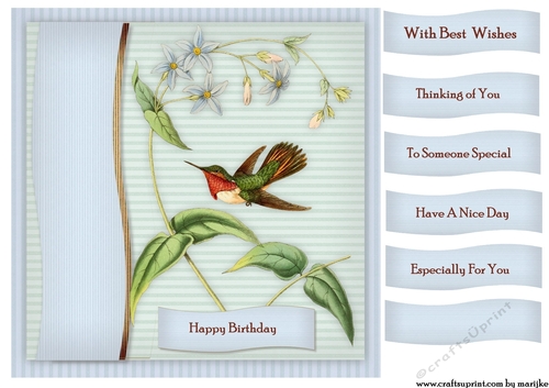 Male Card Antique Hummingbird 