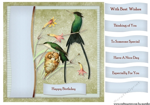 Male Card Antique Hummingbird Topper & Tags 9