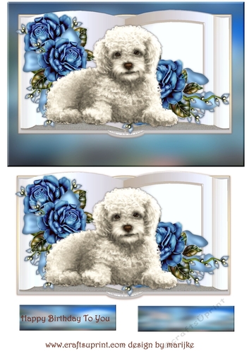 Beautiful  Cute  White  Puppy  Book