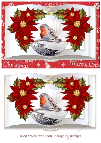 Beautiful Christmas Poinsettias   Book